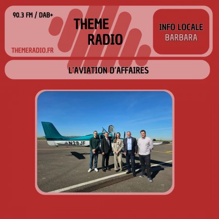 L&rsquo;aviation d&rsquo;affaires